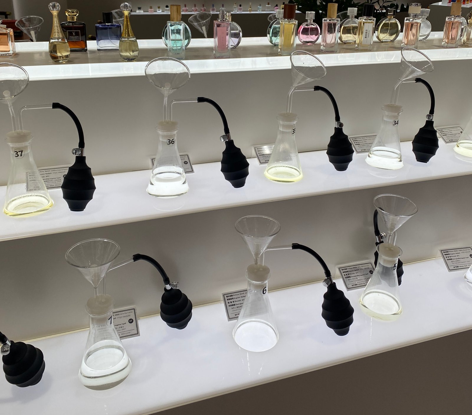 perfume 7 scaled.jpg